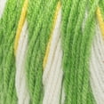 thumbnail image 3 of Red Heart® All In One Flower Power™ #4 Worsted (Medium) Acrylic Yarn, 8.8oz/250g 417 Yards, 3 of 5