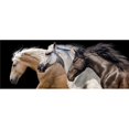 thumbnail image 1 of Frameless Free Floating Tempered Glass Art by EAD Art Coop - Trilogy 2, 1 of 1