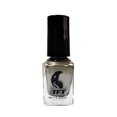 thumbnail image 2 of PVCS TFT Metallic Stainless Steel Mirror Silver Nail Polish 17 Colors 6ML, 2 of 2
