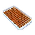 thumbnail image 4 of jifeng Artificial DIY Miniature Flower Cluster Grass Tufts Diorama Layout Scenery Model Orange, 4 of 9