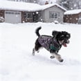 thumbnail image 4 of Insulated Reflective Dog Coat Winter Warm Apparel Cozy Protective Outer Layer Comfortable Fit For All Breed Sizes Outdoor Adventures, 4 of 6