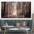 thumbnail image 1 of Forest Trail in Sepia - Landscape Photography Canvas Art Print, 1 of 3