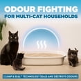 thumbnail image 4 of Arm & Hammer Cloud Control Breathe Easy Clumping Clay Cat Litter, 17.2 kg, 4 of 5