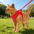 thumbnail image 3 of ERK 1Pcs Cat Harness And Leash For Walking Adjustable Vest With Reflective Strap For Puppy, 3 of 4