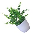 thumbnail image 4 of serony Artificial Potted Plant Leaf Simulation Leaves Home Office Desktop Greenery Decoration, Plant Type 19, 4 of 7