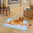 thumbnail image 3 of Costway 300 Pcs 17 Pouces X 24 Pouces Tapis pour Chiot Animal de Compagnie Chien Chat Pipi Tapis d'Entraînement sous-Tapis, 3 of 8