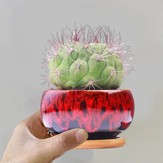 Circular Glazed Ceramic Planter Set for Indoor Garden Display with Unique Kiln-Turned Color Blend Succulent Pots and Mini