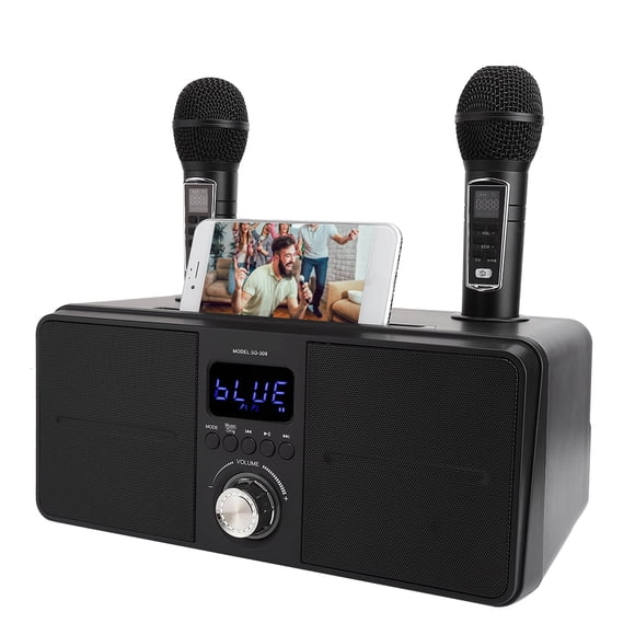 Filfeel Kit Audio KTV Familial de Haute Qualité Microphone Sans Fil Intégré Carte Audio en Direct Kara pour Fête Salle de Classe Réunion