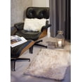 thumbnail image 2 of H-Luxe Hudson Faux Fur2'X3' Rug, 2 of 3