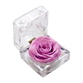 thumbnail image 1 of Amdohai Vraie Fleur de Rose Préservée dans une Boîte Transparente Rose Éternelle Parfumée, 1 of 7
