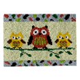 thumbnail image 1 of AMERTEER DIY Hook Kits Rug Printed Cushion for Carpet Embroidery Handwerken (4), 1 of 10