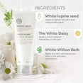 thumbnail image 3 of The Face Shop WHITE SEED Exfoliating Cleansing Foam 150ml, 3 of 6