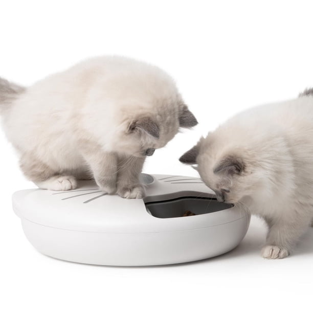 Catit Pixi Smart 6-Meal Cat Feeder - Walmart.ca