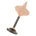 thumbnail image 2 of Baohd Buste Élégant et Pratique pour Homme et Femme, Support en PVC pour Perruques, 1 Ensemble, 2 of 6