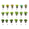 thumbnail image 4 of Decodeary Green Eco-friendly Artificial Money Tree In Pot Long-lasting Durability Realistic Appearance purple babysbreath 1Set, 4 of 6