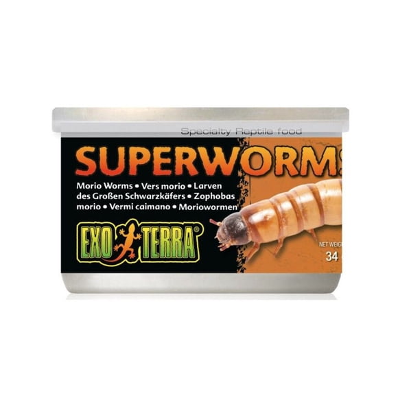 Exo Terra Aliments Spéciaux pour Reptiles, 34 G