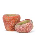 thumbnail image 2 of Abbott Laying Strawberry Planter – Cement Pot Resembling Horizontal Strawberry, 4"H – Playful Fruit Planter for Colourful Flowers or Plants, 2 of 3