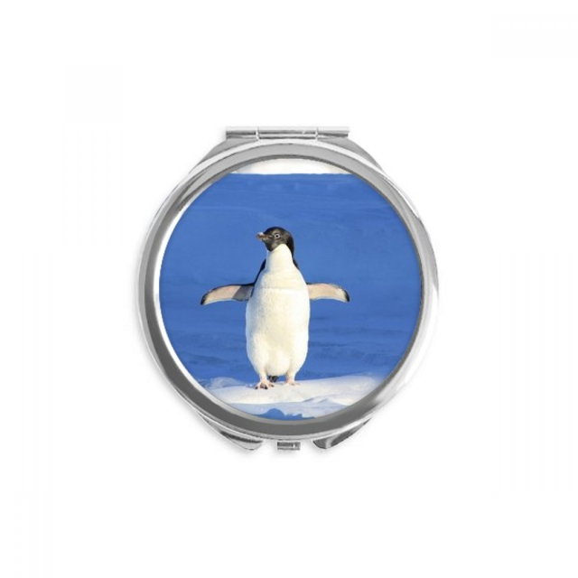 Cute White Penguin Science Nature Picture Hand Compact Mirror Round Portable Pocket Glass