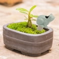 thumbnail image 3 of Self Watering Spike Drip Irrigation Slow Release Plant Spike Plant Waterer, 3 of 6