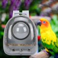 thumbnail image 4 of GROWTH TANK Backpack Carrier Visible Adjustable Parrot Backpack Travel Bag for Outdoor Grey, 4 of 9