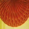 thumbnail image 1 of Ahgly Company Tapis d'Intérieur Lavable en Machine Carré Orange Citrouille Transitionnel, 7 Pieds Carré, 1 of 7