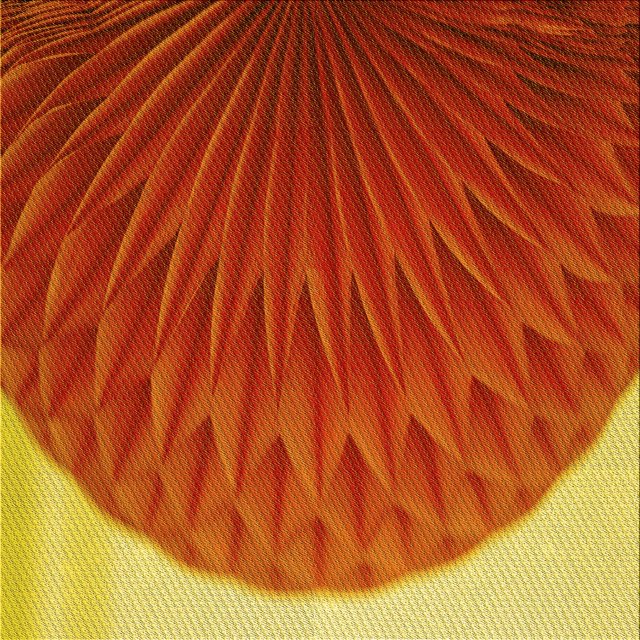Ahgly Company Tapis d'Intérieur Lavable en Machine Carré Orange Citrouille Transitionnel, 7 Pieds Carré