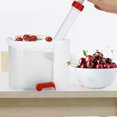 thumbnail image 2 of Dioche Pitter Cerise, Outils de Retrait de Noyau de Raisin, pour le Voyage, 2 of 8