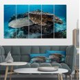 thumbnail image 1 of Corals and Fish in Komodo National Park - Seashore Canvas Art Print, 1 of 1