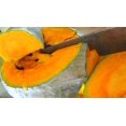 thumbnail image 2 of 30 Graines de Courge Bleue HUBBARD Nouvelle-Angleterre Buttercup Cucurbita Pepo Légumes, 2 of 10