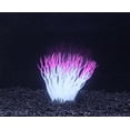 thumbnail image 2 of Penn-Plax, Pink Sea Anemone, 2 of 2
