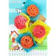 thumbnail image 1 of AE Cage Company Nibbles Bon Bon Loofah Chew Toys Assorted Colors - 4 count, 1 of 1