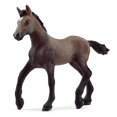 thumbnail image 1 of Schleich Poulain Paso Péruvien, 1 of 5