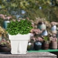 thumbnail image 2 of Thickened Anti Fall Silicone Planter Simple Square Home Office Decoration Succulent Pot, 2 of 4