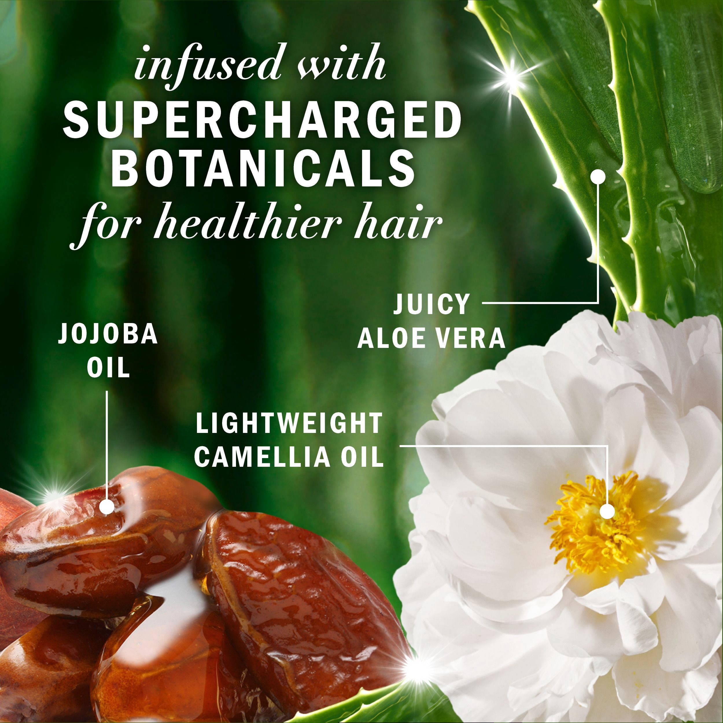 Shampooing sans sulfate Herbal Essences Éclat et douceur à l’huile de jojoba, 400 mL