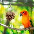 thumbnail image 1 of Birdeem Toy Pinecone Soothing Supplies, 1 of 8