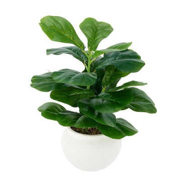 Anko Artificial Fiddle Plant in Pot