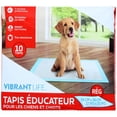 thumbnail image 4 of Vibrant Life Dog Pee Pads and Puppy Training Pads, L (56*56cm), 4 of 5