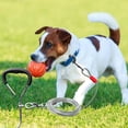 thumbnail image 1 of Dog Tie Out Stake Kit Heavy Duty Metal Pet Ground For Small Medium Dogs Outdoor Training Pull Tether, 1 of 6