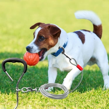 Dog Tie Out Stake Kit Heavy Duty Metal Pet Ground For Small Medium Dogs Outdoor Training Pull Tether