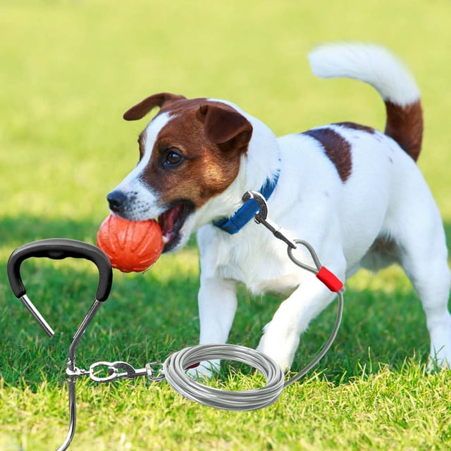 Dog Tie Out Stake Kit Heavy Duty Metal Pet Ground For Small Medium Dogs Outdoor Training Pull Tether