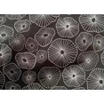 thumbnail image 5 of oneOone Cotton Poplin Dark Gray Fabric Abstracts Sewing Craft Projects Fabric Prints By Yard 42 Inch Wide, 5 of 5