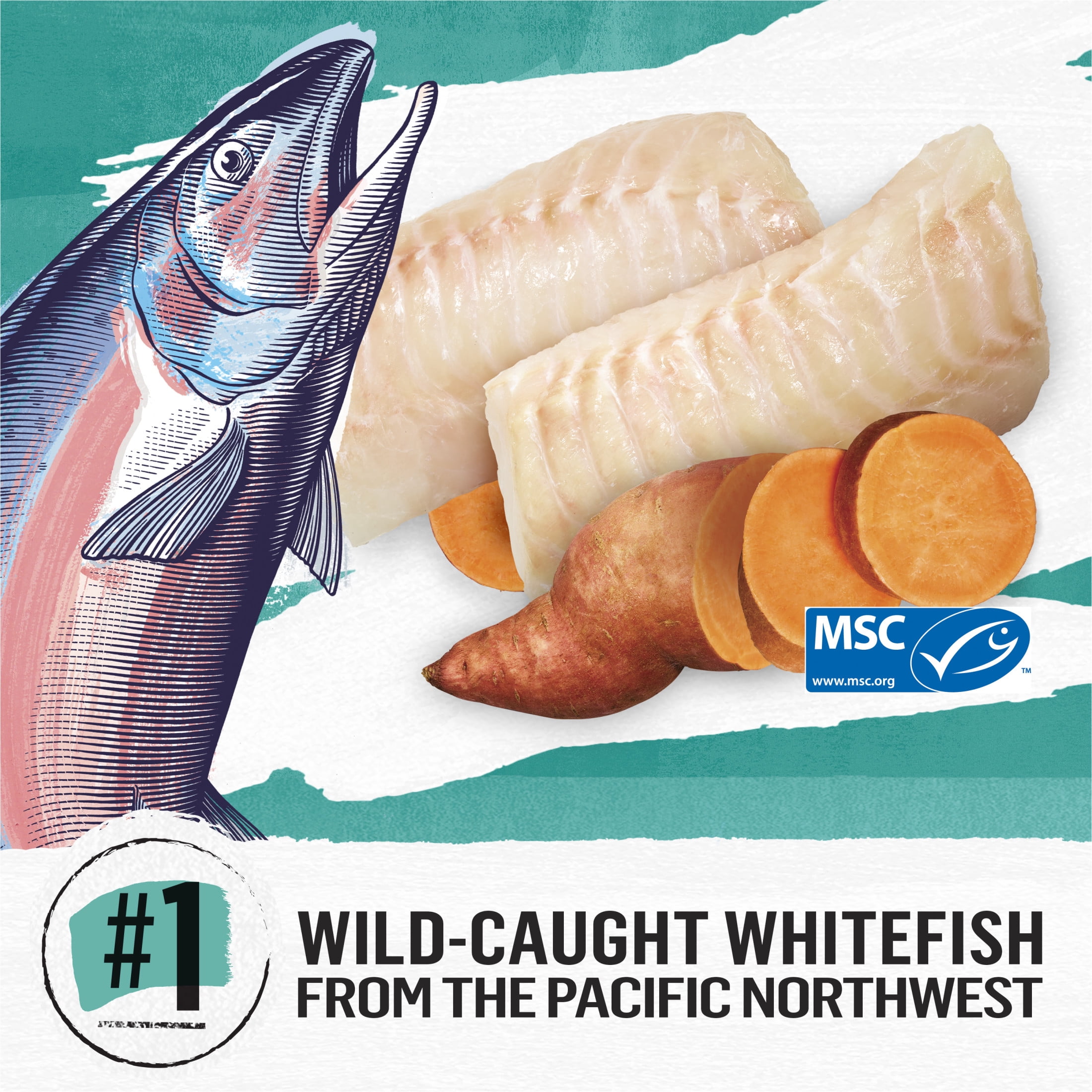 Beyond Grain Free Wild-Caught Whitefish & Free Run Egg Recipe, Dry Cat Food 1.36kg