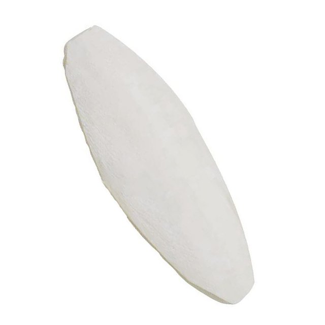 10pcs Cuttlebone for Birds | Parrot Chewing Cuttle Bone for Sharp Beaks | Cuttle Bone for Parakeets Budgies Cockatiels Tortoises Turtles Snails Small Animals