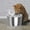 Normale, variante sur Fontaine d'Eau pour Chat 2 L avec Filtre, Distributeur d'Eau en Acier Inoxydable 304, Normale