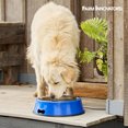 thumbnail image 4 of Farm Innovators Signature Series 5.5QT Heated Pet Bowl with Steel Insert, 4 of 7