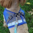thumbnail image 3 of Cat Harness, Cat Harness Escape Proof, 3 of 5
