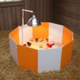 thumbnail image 4 of Farm Innovators 3700 Baby Chick Starter Home Kit with Adjustable Lamp Hanger, 4 of 6