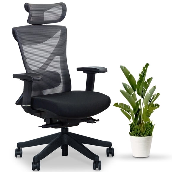 EFFYDESK KaiChair Fully Adjustable Best Ergonomic Office Chair and Task Chair with Lumbar Support and Posture alignment with 4D armrest (Obsidian Black)
