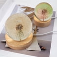thumbnail image 4 of Light Mold Round Shape Lamp Mould Silicone DIY Craft Light Mold DIY Light Reusable Light Maker Ball, 65mm Ball Mold, 4 of 7