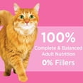 thumbnail image 4 of Iams Proactive Health Sensitive Digestion & Skin with Turkey Dry Cat Food 1.4kg, 4 of 8